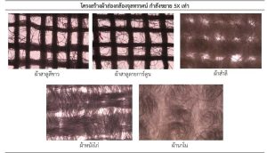 ภาพประกอบเว็บไซต์