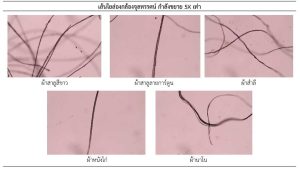 ภาพประกอบเว็บไซต์