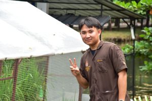 ภาพประกอบเว็บไซต์
