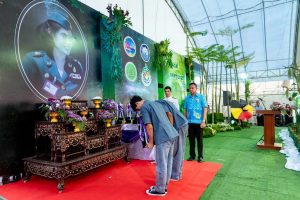 ภาพประกอบเว็บไซต์