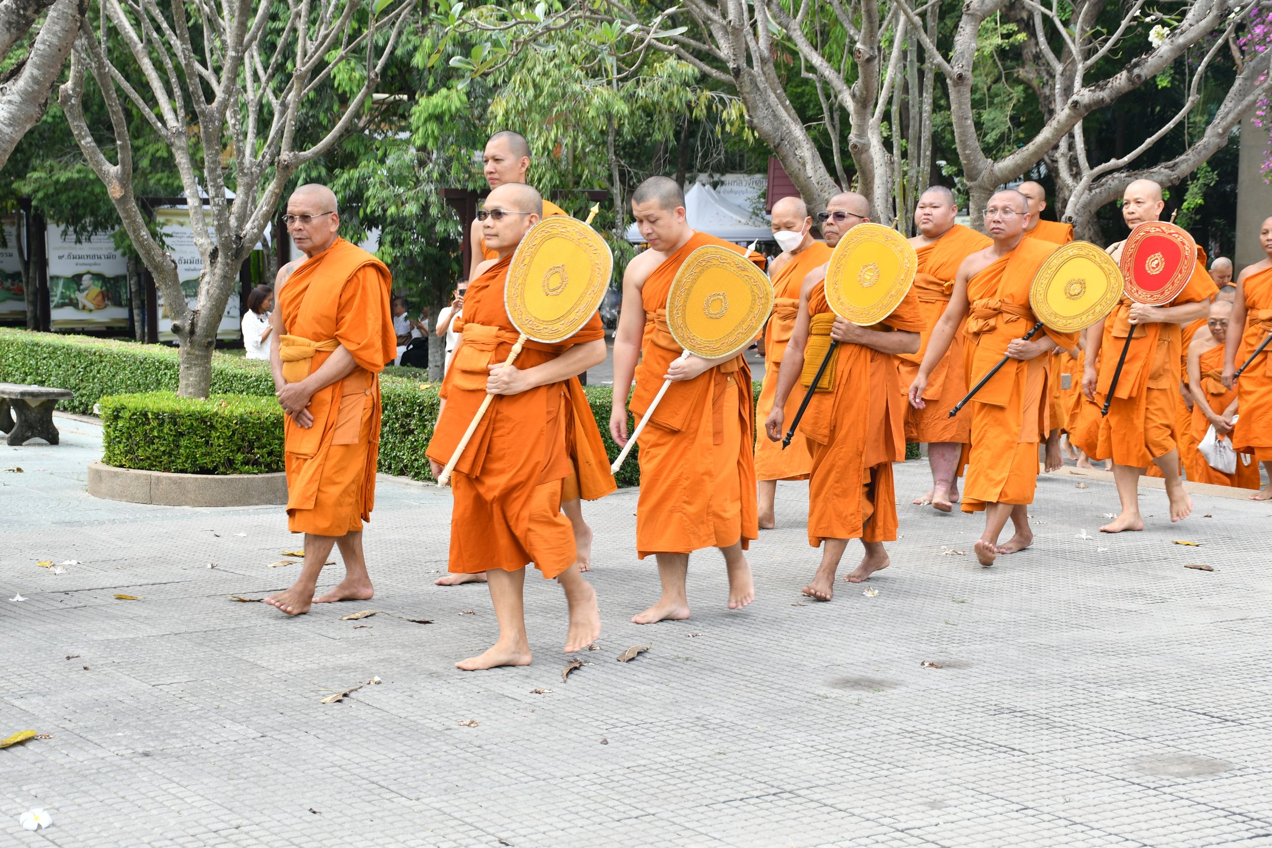 ภาพประกอบเว็บไซต์