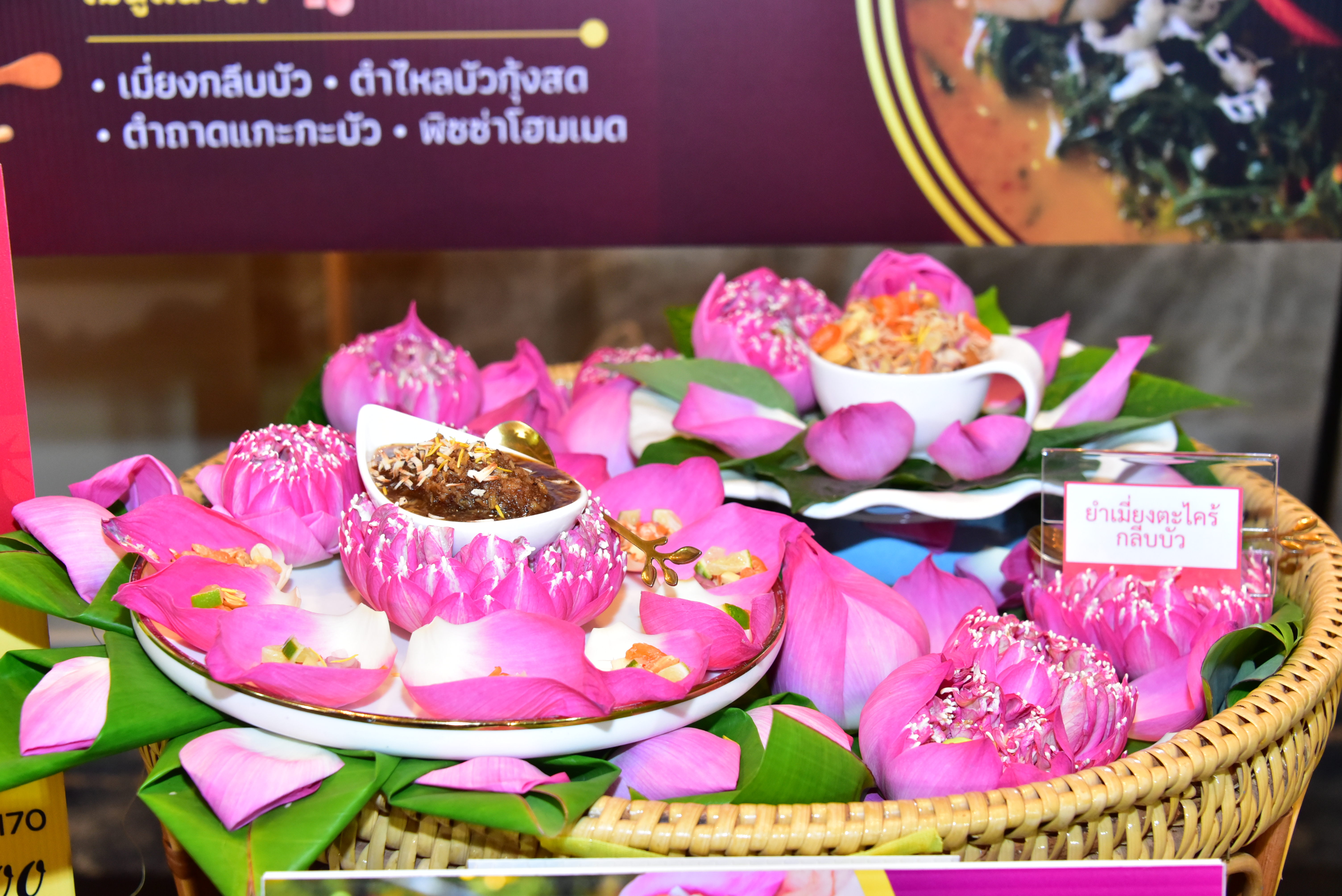 ภาพประกอบเว็บไซต์