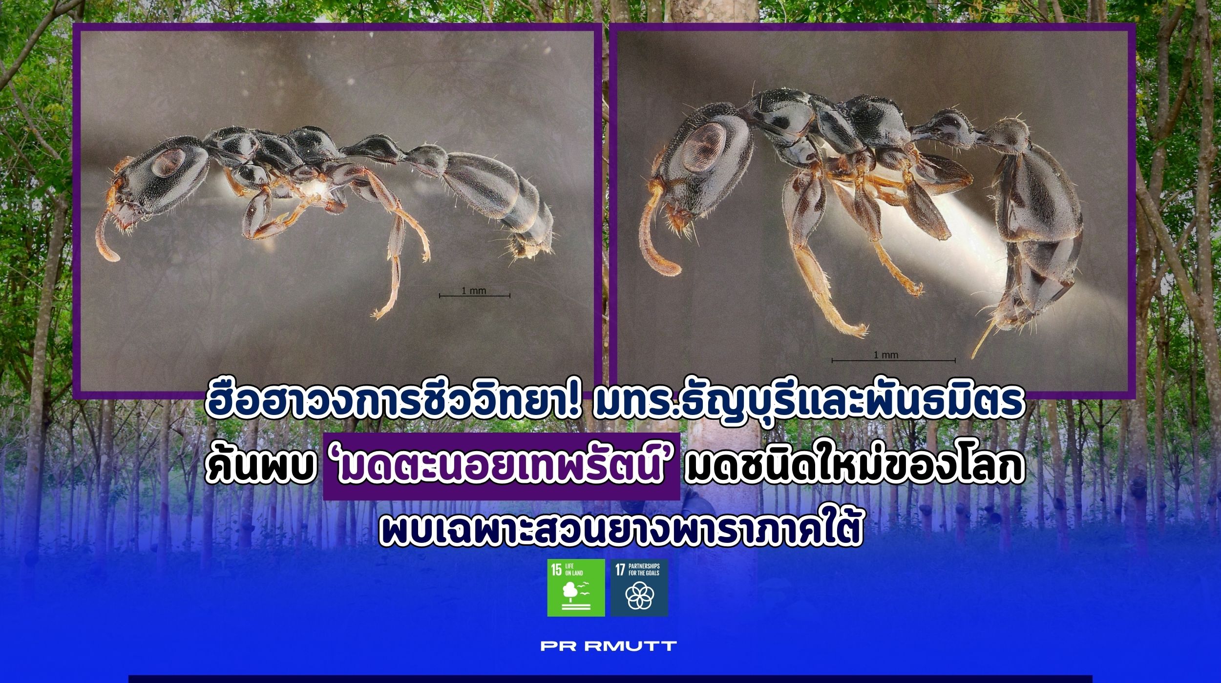 ภาพประกอบหน้าปกเว็บไซต์